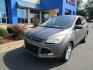 2014 Grey /Gray / Cloth Ford Escape SE FWD (1FMCU0GX6EU) with an 1.6L L4 DOHC 16V engine, 6-Speed Automatic transmission, located at 1814 Albert Pike Road, Hot Springs, AR, 71913, (501) 623-1717, 34.494228, -93.094070 - Photo#6