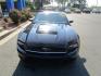 2014 BLACK Ford Mustang V6 Coupe (1ZVBP8AM3E5) with an 3.7L V6 DOHC 24V engine, located at 1814 Albert Pike Road, Hot Springs, AR, 71913, (501) 623-1717, 34.494228, -93.094070 - Photo#1