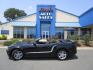 2010 BLACK /Black/Cloth Ford Mustang SPORT (1ZVBP8EN3A5) with an 4.0L V6 OHC 12V engine, 5 SPEED AUTOMATIC transmission, located at 1814 Albert Pike Road, Hot Springs, AR, 71913, (501) 623-1717, 34.494228, -93.094070 - Photo#0