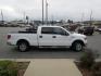 2013 WHITE /GREY Ford F-150 FX2 SuperCrew 5.5-ft. Bed 2WD (1FTFW1CF9DF) with an 5.0L V8 engine, 6-Speed Automatic transmission, located at 1814 Albert Pike Road, Hot Springs, AR, 71913, (501) 623-1717, 34.494228, -93.094070 - Photo#2