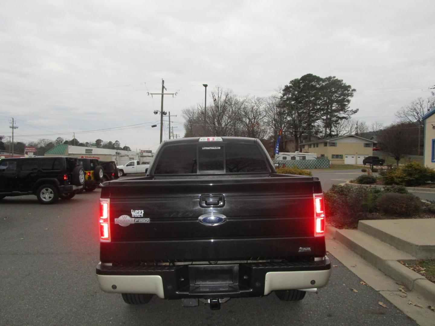 2010 BLACK /KING RANCH LEATHER Ford F-150 Lariat SuperCrew 5.5-ft. Bed 4WD (1FTFW1EVXAK) with an 5.4L V8 SOHC 24V FFV engine, 4-Speed Automatic transmission, located at 1814 Albert Pike Road, Hot Springs, AR, 71913, (501) 623-1717, 34.494228, -93.094070 - 2010 FORD F-150 LARIAT KING RANCH - Photo#3