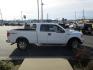 2013 WHITE /Black Ford F-150 XLT SuperCab 6.5-ft. Bed 4WD (1FTFX1ET9DK) with an 3.5L V6 TURBO engine, 6-Speed Automatic transmission, located at 1814 Albert Pike Road, Hot Springs, AR, 71913, (501) 623-1717, 34.494228, -93.094070 - Photo#2