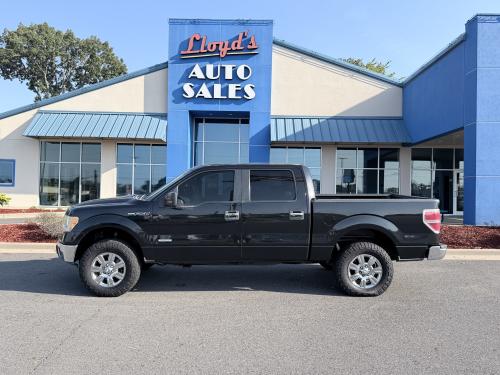 2011 Ford F-150 FX4 SuperCrew 5.5-ft. Bed 4WD